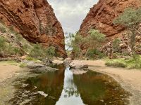 8. Tag: Ausflug in die West MacDonnell Ranges – Spaziergang zur Simpsons Gap