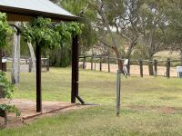 9. Tag: Von Alice Springs zum Kings Canyon – Besuch der historischen Telegraphenstation von Alice Springs