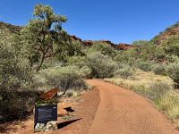 9. Tag: Von Alice Springs zum Kings Canyon – Kings Canyon Creek Walk
