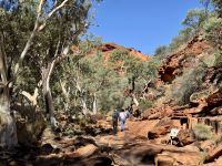 9. Tag: Von Alice Springs zum Kings Canyon – Kings Canyon Creek Walk