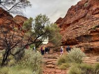 10. Tag: Morgenspaziergang am Kings Canyon (Kings Canyon Rim Walk)