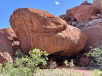 10. Tag: Erkundungen am Uluru – Spaziergang zum Mutitjulu-Wasserloch