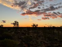 11. Tag: Uluru-Kata Tjuta National Park – Sonnenaufgang am Uluru