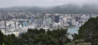 Aus und Überblicke Wellington (3)