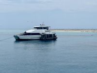12. Tag: Tagesausflug zum Great Barrier Reef – Michaelmas Cay