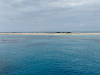 12. Tag: Tagesausflug zum Great Barrier Reef – Michaelmas Cay