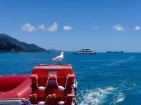 15. Tag: Tagesausflug mit der Camira zur Whitsunday Island