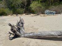15. Tag: Tagesausflug mit der Camira zur Whitsunday Island