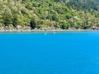 15. Tag: Tagesausflug mit der Camira zur Whitsunday Island – Zwischenstopp zum Schnorcheln