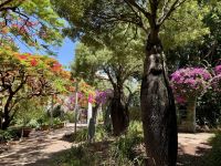 18. Tag: Stadtrundfahrt in Brisbane – Spaziergang durch South Bank – Epicurious Garden