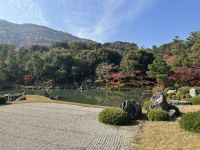 Ausflug nach Kyoto