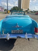 Imposantes Hinterteil