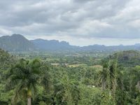 Den Palmen gefällt es aber auch hier