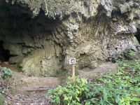 Im Karstfelsen gibt es viele Höhlen
