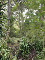 Wanderung zu El Nicho