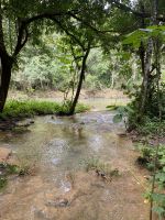 Das Flusswasser ist sehr klar