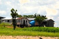 Leben am Amazonas bei Manaus