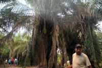 einer unserer Führer im Pantanal