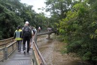 über die Brücken durch den Wald zum zurück ins Restaurant in Iguazu