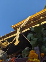 40) Besuch des Manakamana Tempels mit der Seilbahn, Nepal