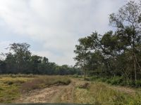 55) Jeeptour durch den Chitwan Nationalpark, Nepal