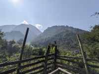 137) Reisfelder auf dem Weg von Lumbini nach Pokhara, Nepal