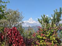 190) World Peace Pagode mit Blick auf Annapurna-Massiv - Gebirgskette, Pokhara, Nepal