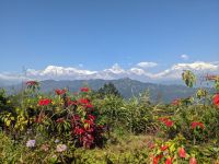 195) World Peace Pagode mit Blick auf Annapurna-Massiv - Gebirgskette, Pokhara, Nepal