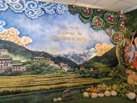 243) Ankunft in Paro, Bhutan