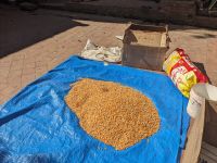 428) Bhaktapur - Spaziergang, Kathmandu, Nepal