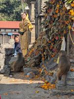 561) Pashupatinath Tempel, Kathmandu, Nepal