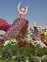 Miracle Garden