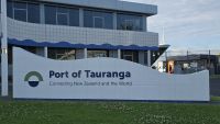 wunderschönes Tauranga (1)