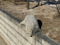 Nationalpalast Seoul