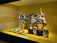 Jeju Museum