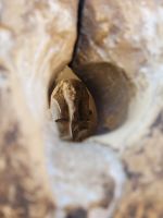 024 - Sakarra -  an der Stufenpyramide