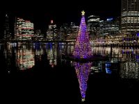 20. Tag: Sydney – Darling Harbour bei Nacht