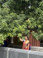 Kanchipurum mit Ekambareswara Tempel