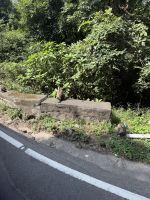 Auf den Strassen Indiens unterwegs