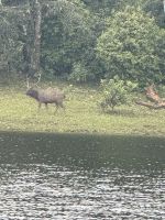 Periyar Nationalpark