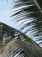 Hausboot Backwaters