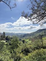 Fahrt mit dem Toy Train