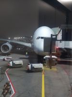 Unser Flieger - Flug SQ325 nach Singapur