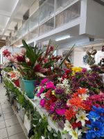 Sir Selwyn Selwyn-Clarke Market Victoria