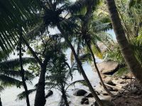 Spaziergang Moyenne Island