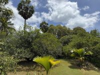 Botanischer Garten Victoria