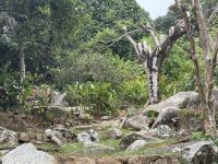 Jardin du Roi Gewürzgarten