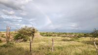 Regenbogen in der Landschaft
