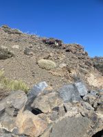 Teide Nationalpark 