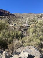 Teide Nationalpark 